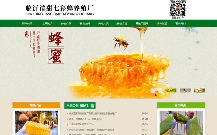 临沂清甜七彩蜂养殖厂网站建设项目2