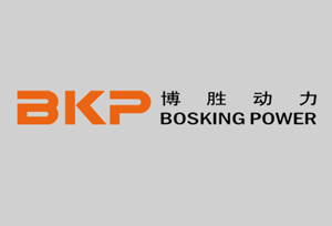 博胜动力网站建设