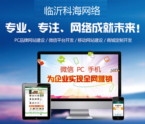 临沂科海网络公司
